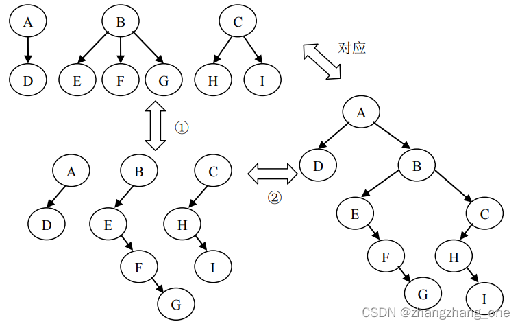 森林转换为二叉树示例